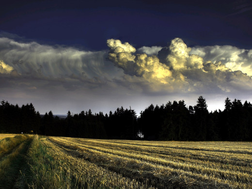 652968 (a): :2560x1920